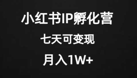 价值2000+的小红书IP孵化营项目,超级大蓝海,七天即可开始变现,稳定月入1W+