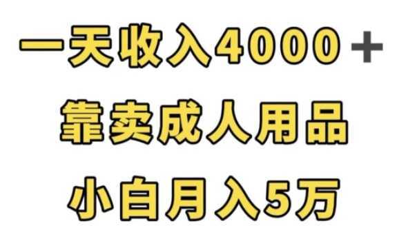 一天收入4000+,靠卖成人用品,小白轻松月入5万【揭秘】