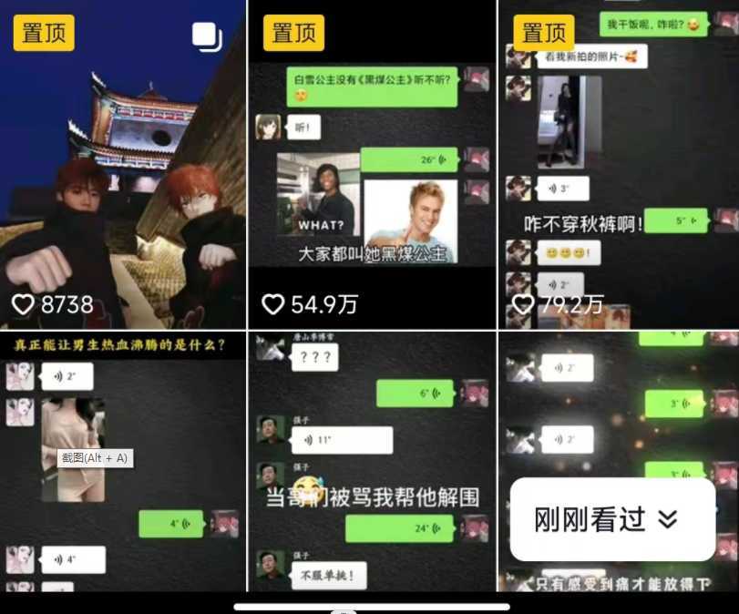 抖音搞笑对话项目详解-涨粉快作品简单,小白轻松上手