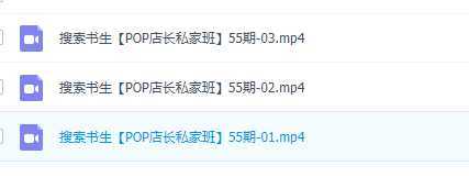 京东店长POP班【第55期】,京东搜推与爆款打造技巧,站内外广告高ROI投放打