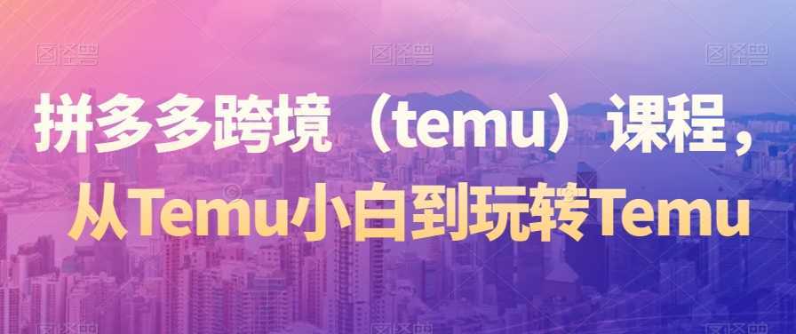 拼多多跨境课程,从Temu小白到玩转Temu