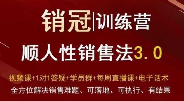 爆款!销冠训练营3.0之顺人性销售法,全方位解决销售难题、可落地、可执行、有结果