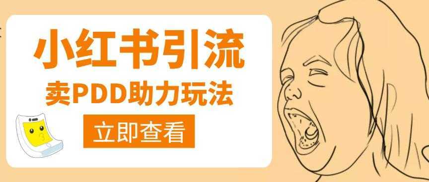 利用小红书卖拼多多助力,日赚100+,顺便还能引个流【视频课程】