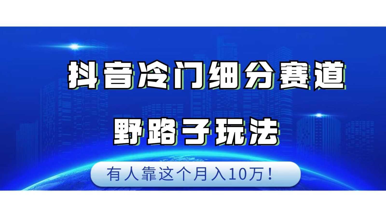 抖音冷门细分赛道野路子玩法,有人靠这个月入10万