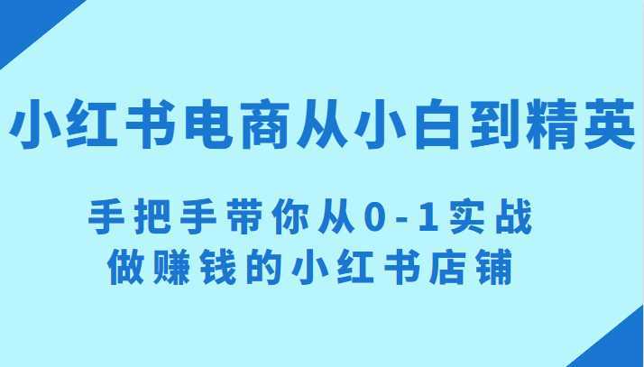 小红书电商项目:从小白到精英 手把手带你从0-1实战做赚钱的小红书店铺