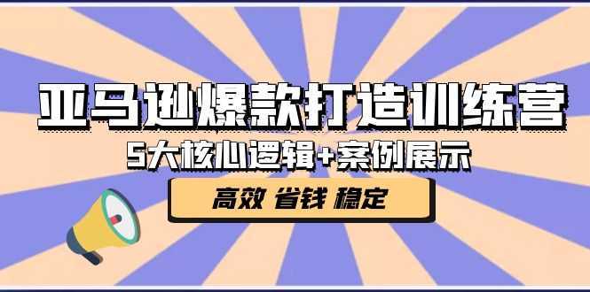 亚马逊爆款打造训练营:5大核心逻辑+案例展示 打造爆款链接 高效 省钱 稳定