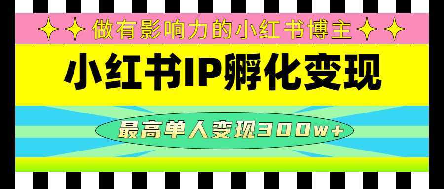 某收费培训-小红书IP孵化变现:做有影响力的小红书博主,最高单人变现300w+