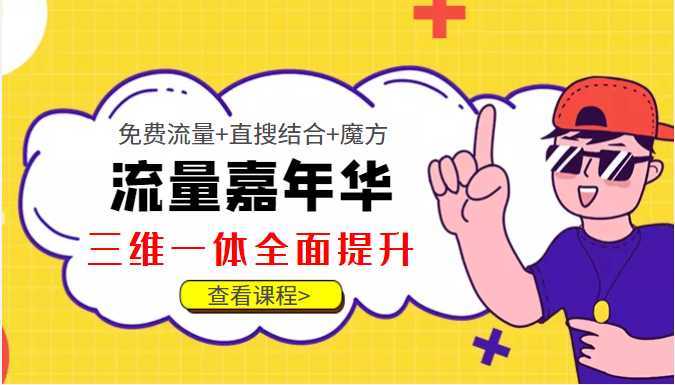 淘系流量全解全面提升,免费流量+直搜结合+魔方,全方位掌握淘系运营方法和技巧