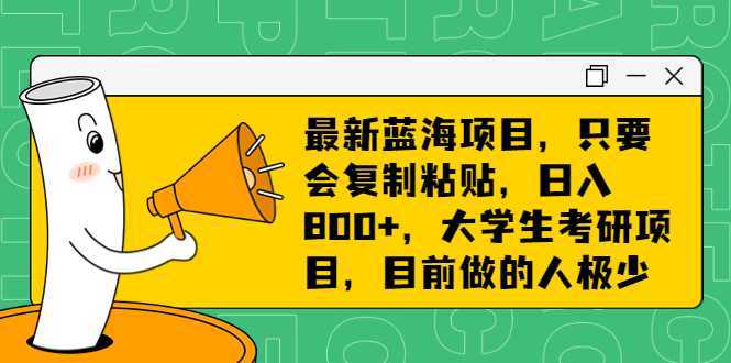 最新蓝海项目,只要会复制粘贴,日入800+,大学生考研项目,目前做的人极少