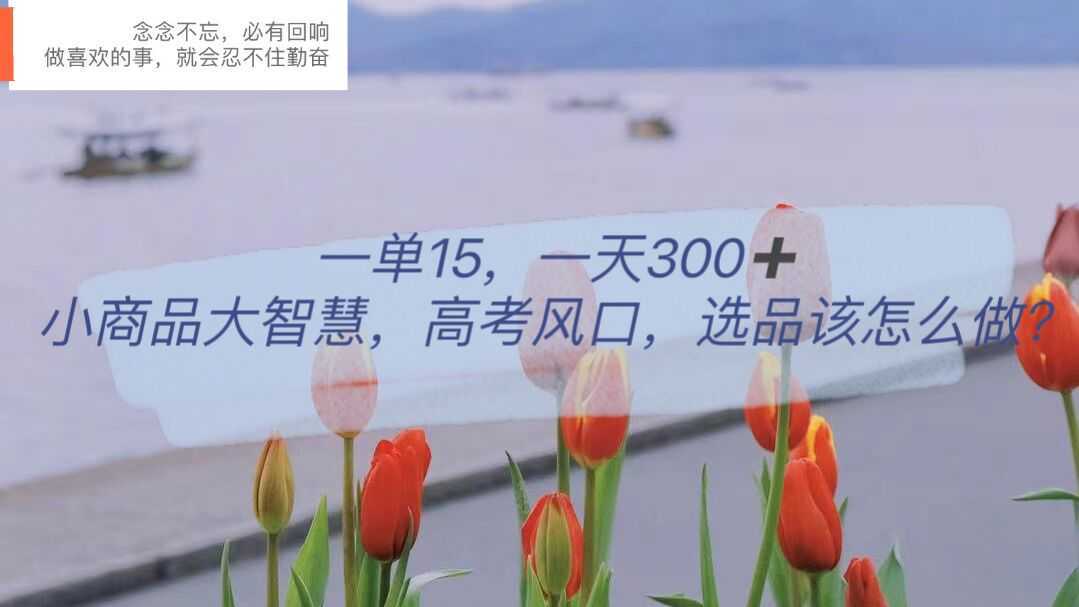 一单15,一天300+,小商品大智慧,高考风口,选品该怎么布局