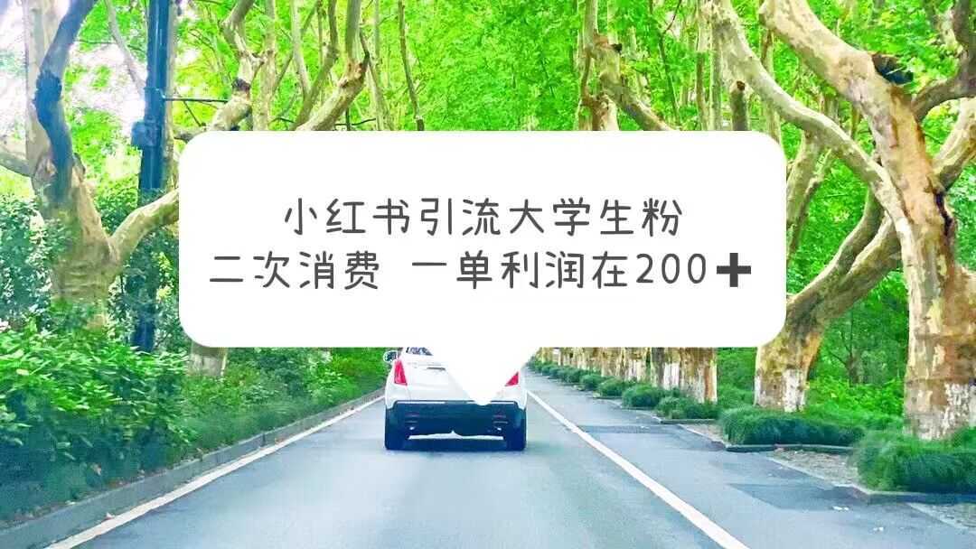 小红书引流大学生粉,变现项目,一单利润在200+