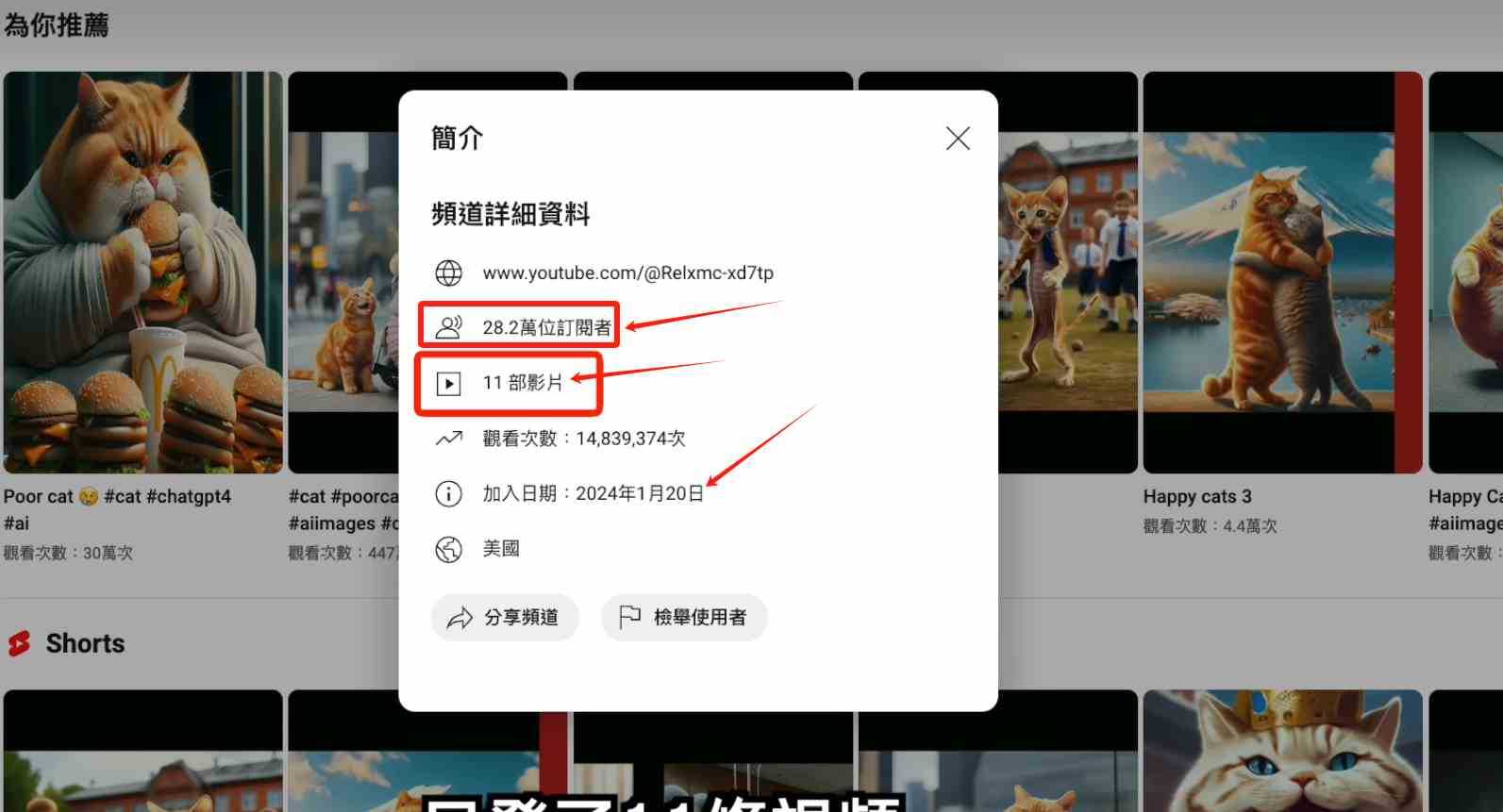 AI貓咪剧情号,30天涨粉100w,制作简单,一个视频全网分发,轻松月入1W+