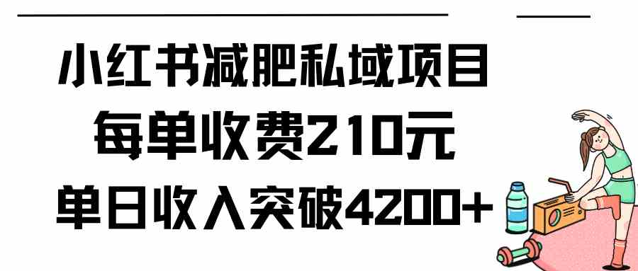 小红书减肥私域项目每单收费210元单日成交20单,最高日入4200+