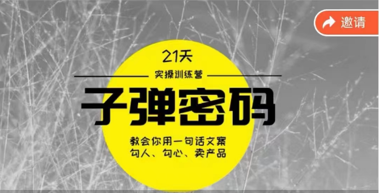 《子弹密码训练营》-用一句话文案勾人勾心卖产品,21天学到顶尖文案大师策略和技巧