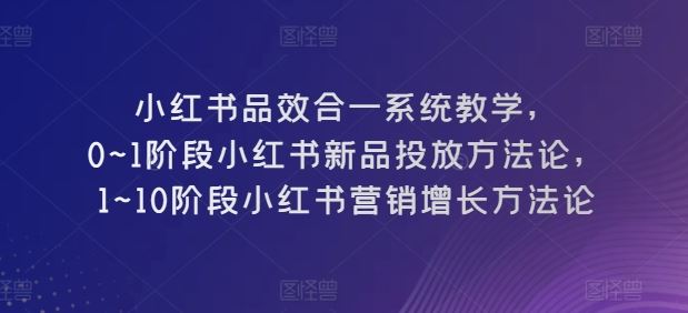 小红书品效合一系统教学,0~1阶段小红书新品投放方法论,1~10阶段小红书营销增长方法论