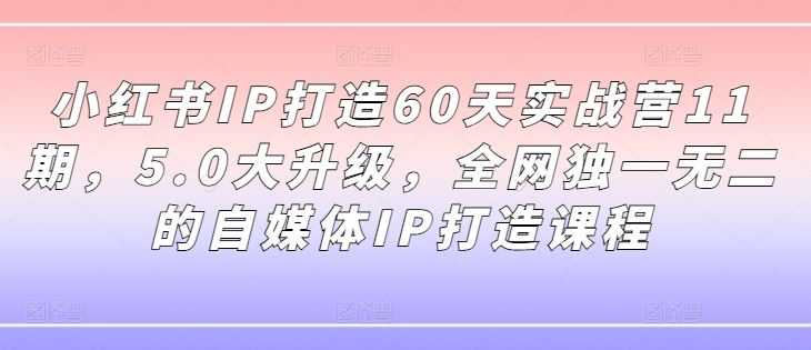 小红书IP打造60天实战营11期,5.0大升级,全网独一无二的自媒体IP打造课程