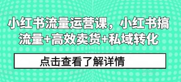 小红书流量运营课,小红书搞流量+高效卖货+私域转化