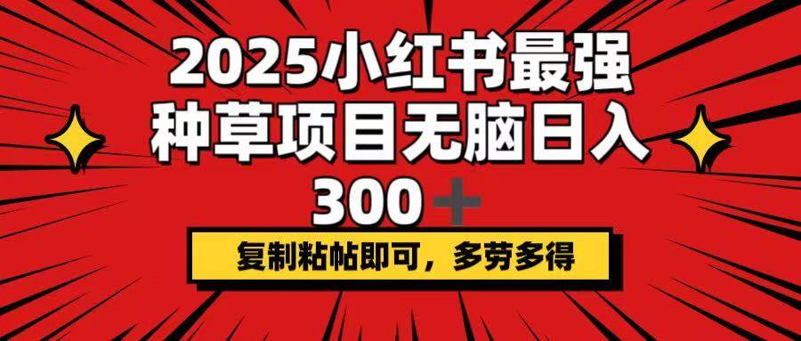 2025小红书最强种草项目,无脑日入300+,复制粘帖即可,多劳多得