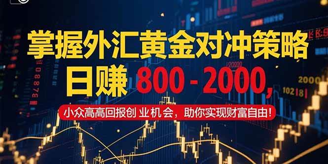 掌握外汇黄金对冲策略,日赚 800 – 2000,小众高回报创业机会,助你实…