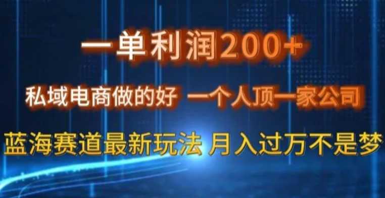 一单利润200私域电商做的好，一个人顶一家公司蓝海赛道最新玩法【揭秘】