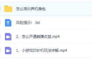 外面收费6980的小游戏超级暴利印钞机项目，无脑去做，每天躺赚500＋