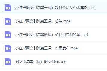 小红书图文引流课程，日进30-50精准粉