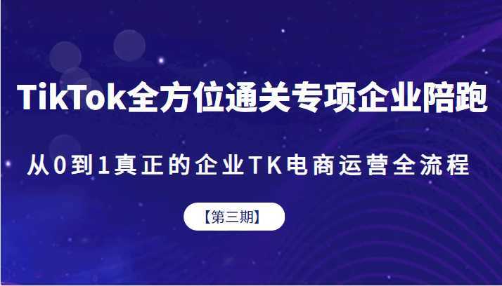 TikTok全方位通关专项企业陪跑【第三期】,从0到1真正的企业TK电商运营全流