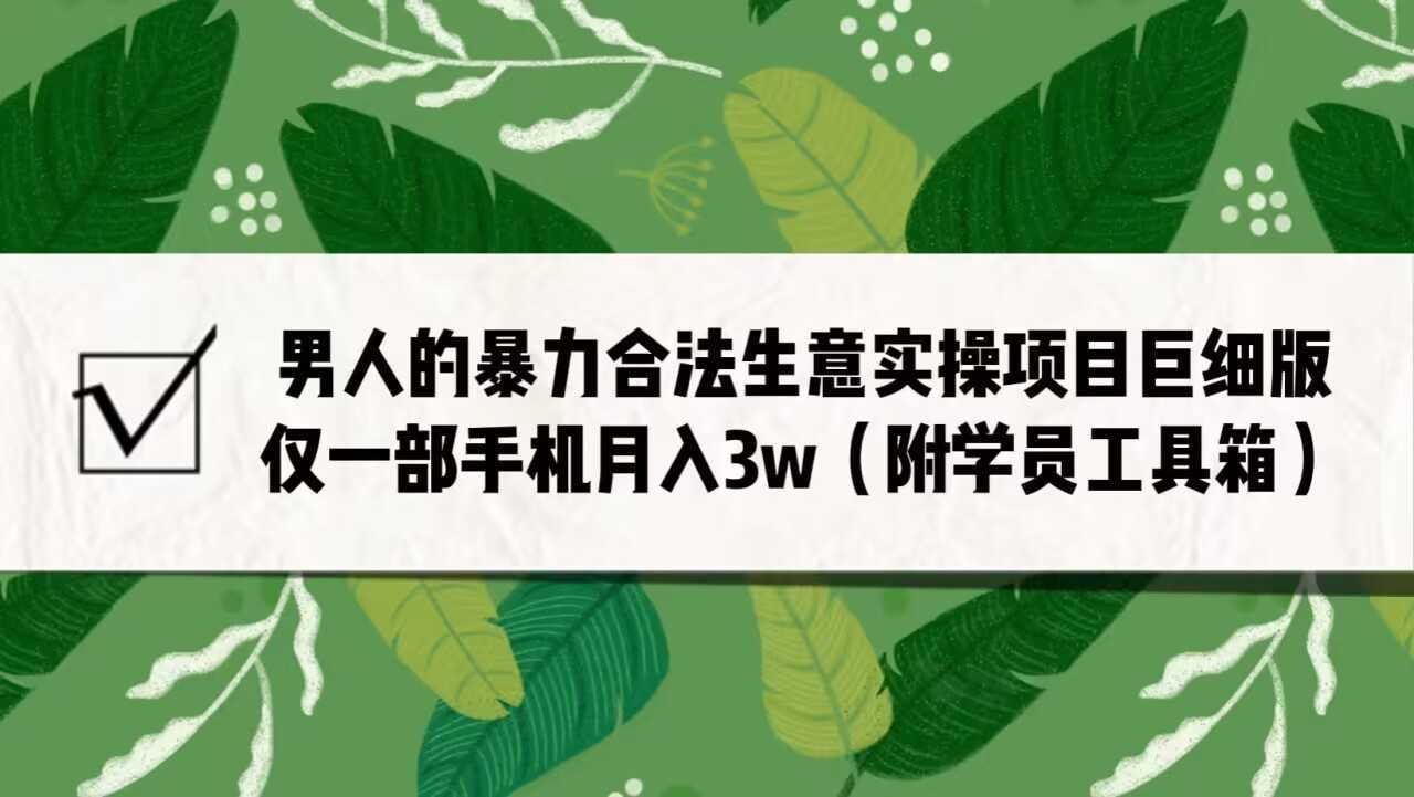 男人的暴力合法生意实操项目巨细版：仅一部手机月入3w