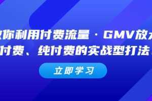 教你利用付费流量·GMV放大，微付费、纯付费的实战型打法【无水印】