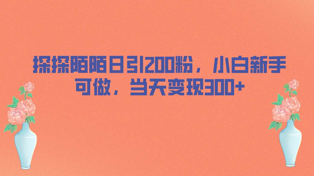 探探陌陌日引200粉，小白新手可做，当天就能变现300+