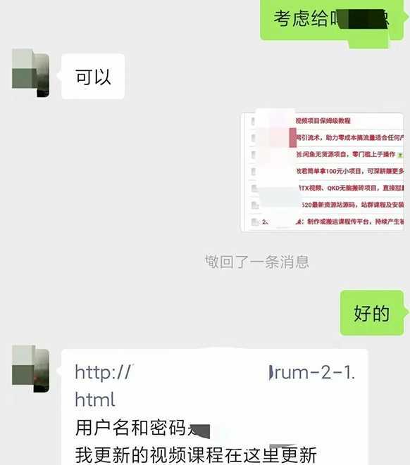 小彬网虚拟资源网站培训课程，如何一个月快速做出盈利的资源网站