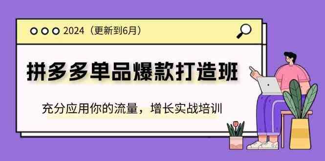 2024拼多多单品爆款打造班，充分应用你的流量，增长实战培训(更新6月)