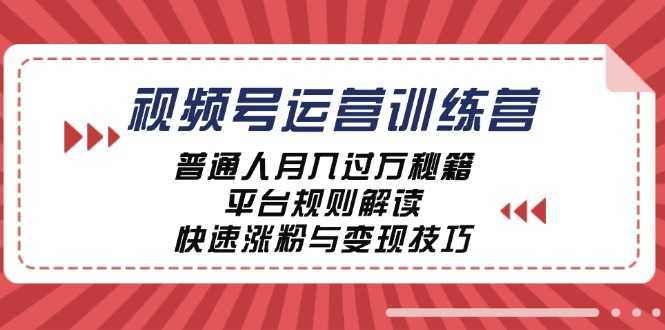 视频号运营训练营：普通人月入过万秘籍，平台规则解读，快速涨粉与变现&#8230;