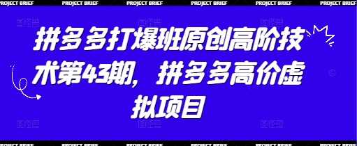 拼多多打爆班原创高阶技术第43期，拼多多高价虚拟项目