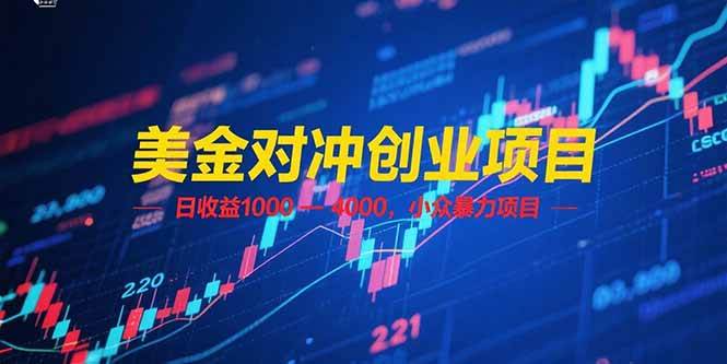 美金对冲创业项目，日收益 1000 &#8211; 4000，小众暴力项目