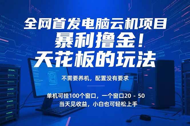 电脑云机项目 暴力撸金玩法，不需要养机 配置没有要求 单机100个窗口一&#8230;
