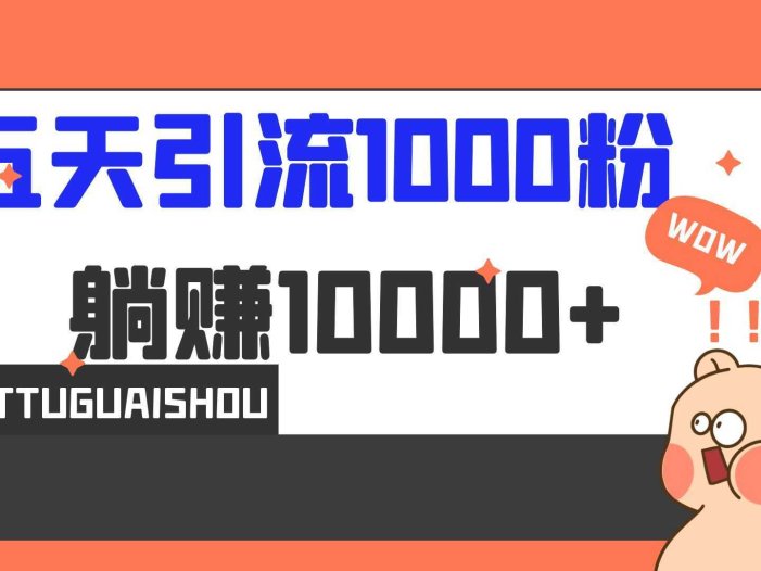 5天引流1000+，赚了1w+