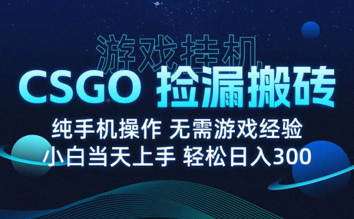 8月最新游戏搬砖，CSGO纯挂机，不需要玩游戏，实现真挂机，月入1W+